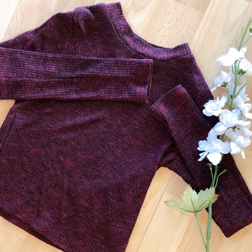 Wine Red Mock Neck Crop Top 🍷🍷 Long Sleeves